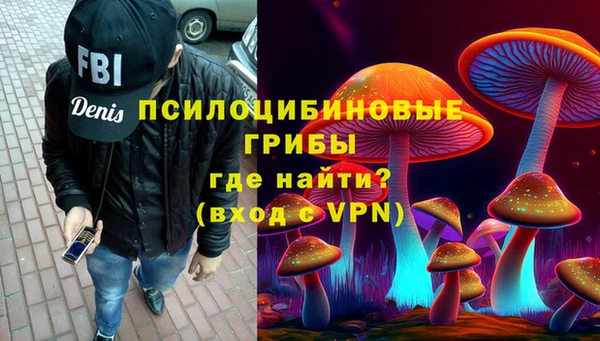 ПСИЛОЦИБИНОВЫЕ ГРИБЫ Санкт-Петербург