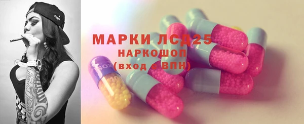 ПСИЛОЦИБИНОВЫЕ ГРИБЫ Санкт-Петербург