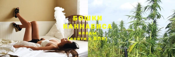 ПСИЛОЦИБИНОВЫЕ ГРИБЫ Санкт-Петербург