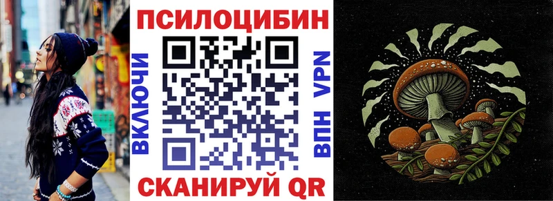 Галлюциногенные грибы Psilocybine cubensis  Тула 