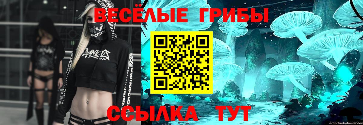 Псилоцибиновые грибы Psilocybine cubensis  Вход с VPN  Тула 